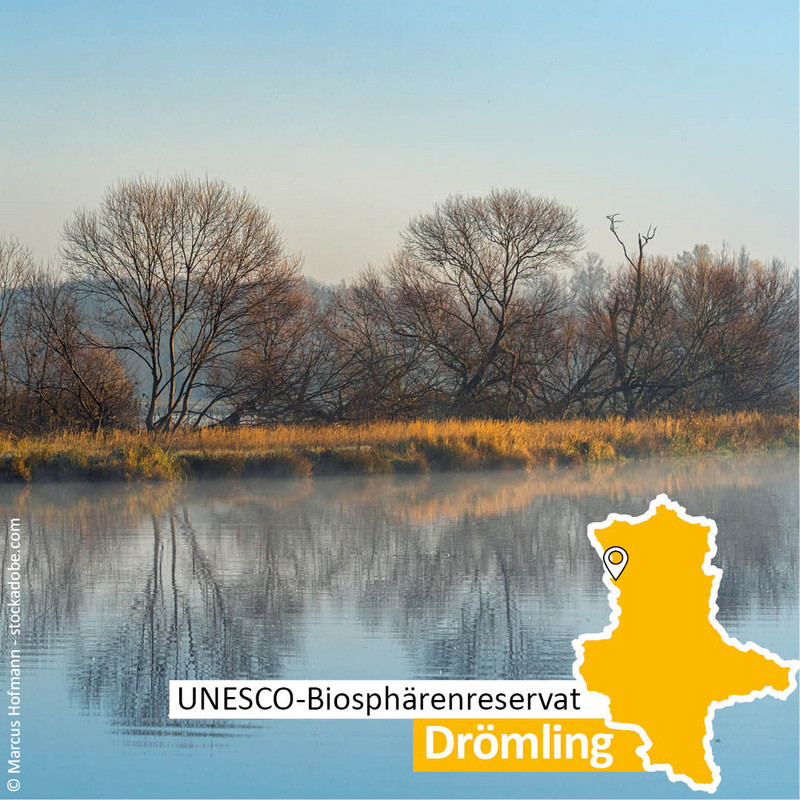 Das Bild zeigt das UNESCO-Biosphärenreservat Drömling.