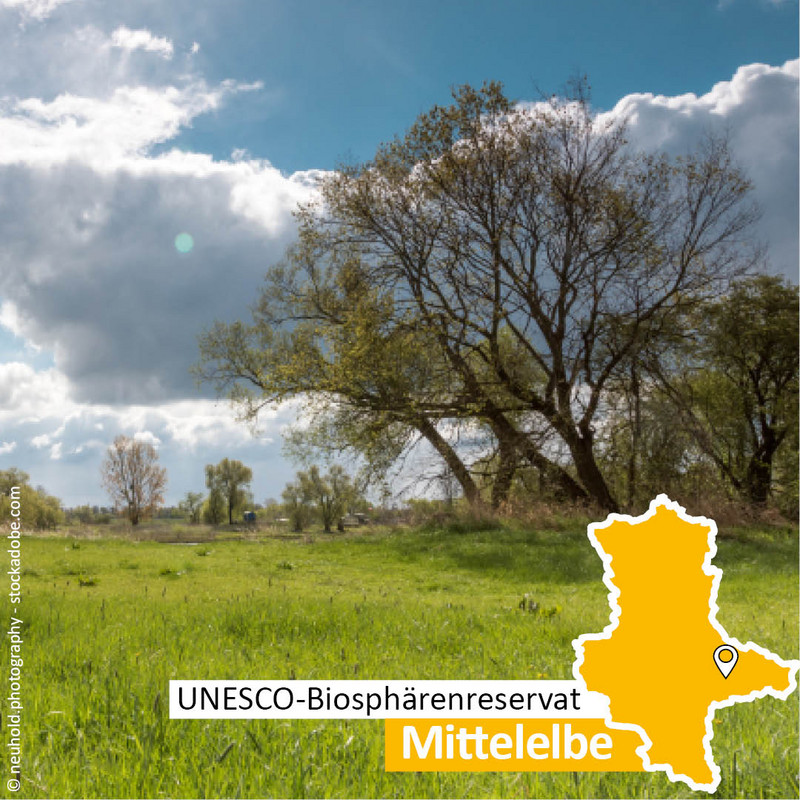 Das Bild zeigt das UNESCO-Biosphärenreservat Mittelelbe.