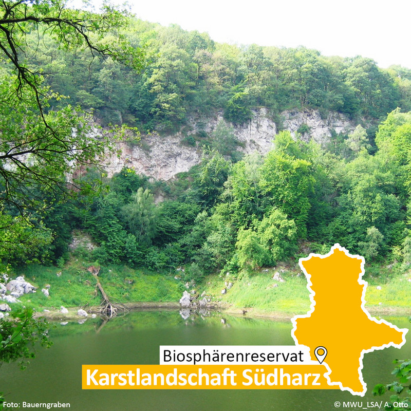 Das Bild zeigt den Bauerngraben im Biosphärenreservat Karstlandschaft Südharz.